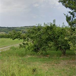 Rustico/Casale In Vendita a Marano sul Panaro