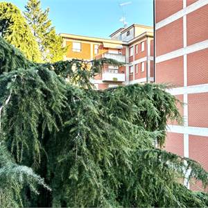 Appartamento In Vendita a Vignola