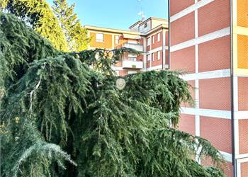VIGNOLA; TRE CAMERE, DUE BAGNI, SERVITO ASCENSORE 