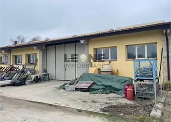 CAPANNONE A SCHIERA DI RECENTE COSTRUZIONE 