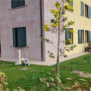 Appartamento In Vendita a Vignola