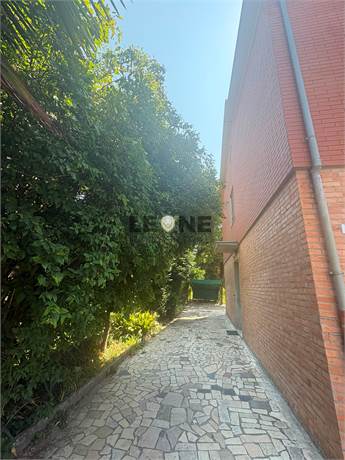 Photo 36